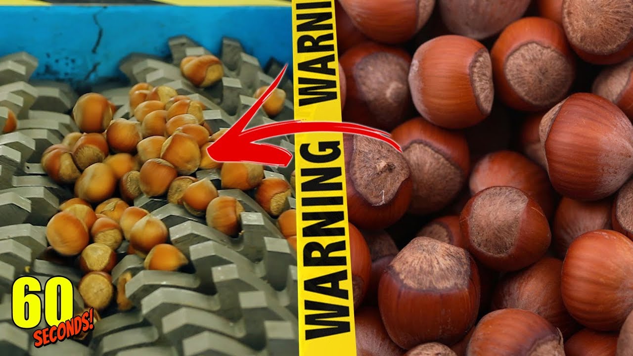 60 SECONDS Experiment - SHREDDING VS Walnut Hazelnut | CRASH TEST