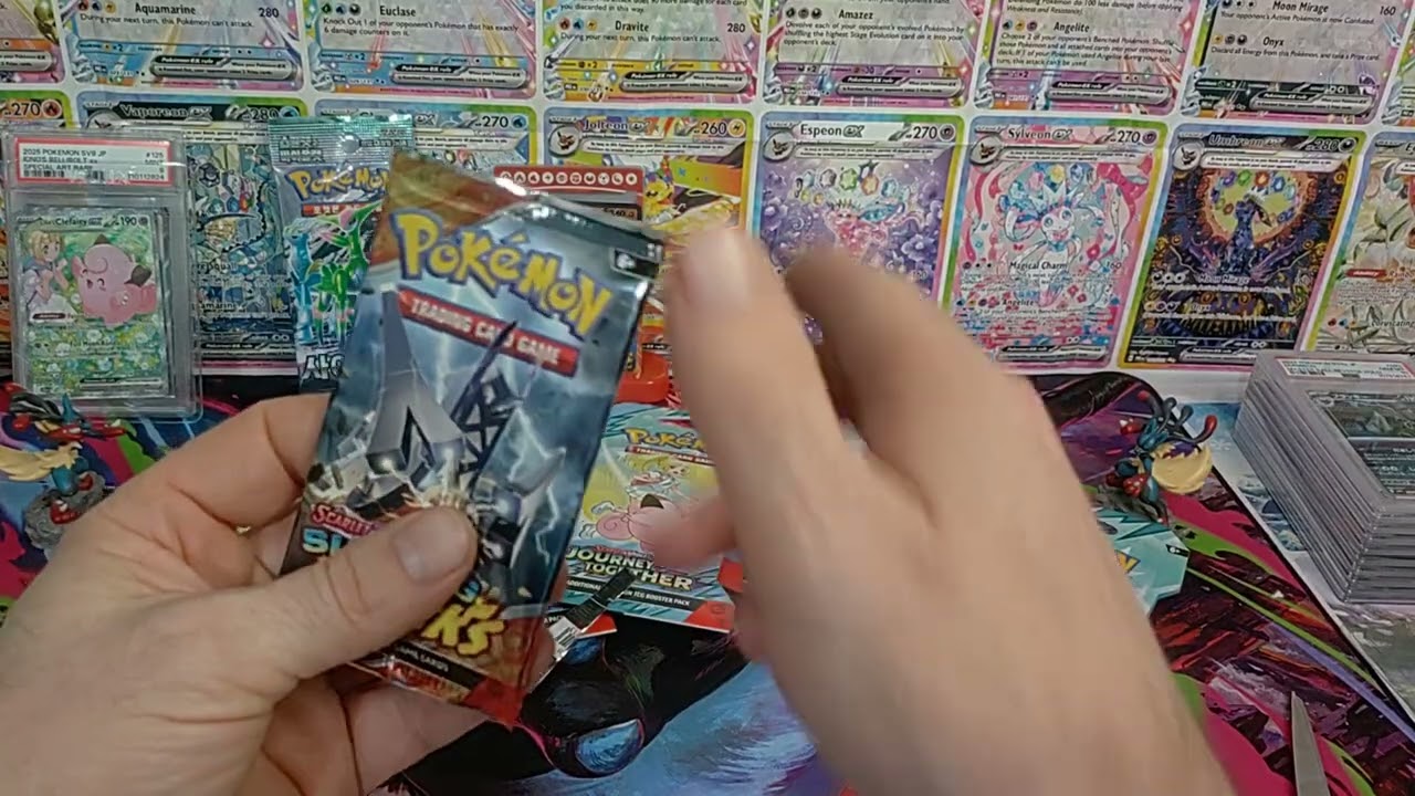 error pack? Single packer disaster pokemon journey strikes again found the DOG!