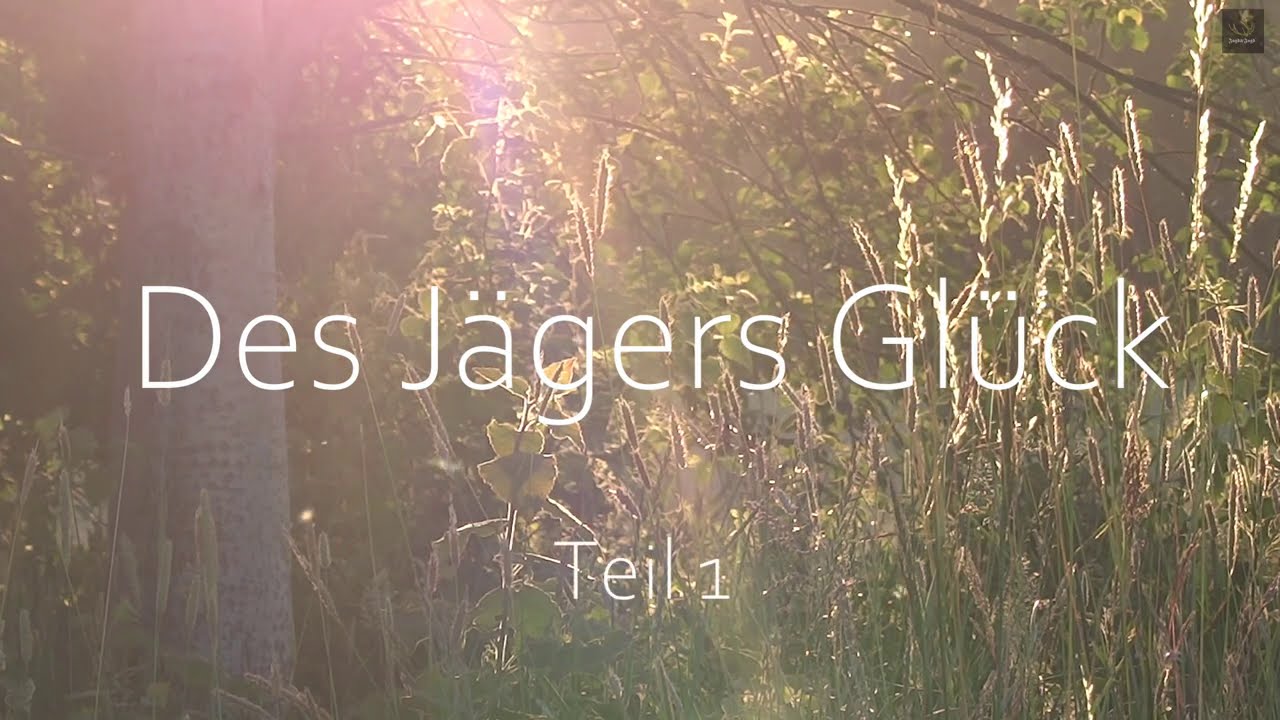 DES JÄGERS GLÜCK - Teil 1 - Jagd auf Rehwild, Schwarzwild und Raubwild | Jagd&Jagd
