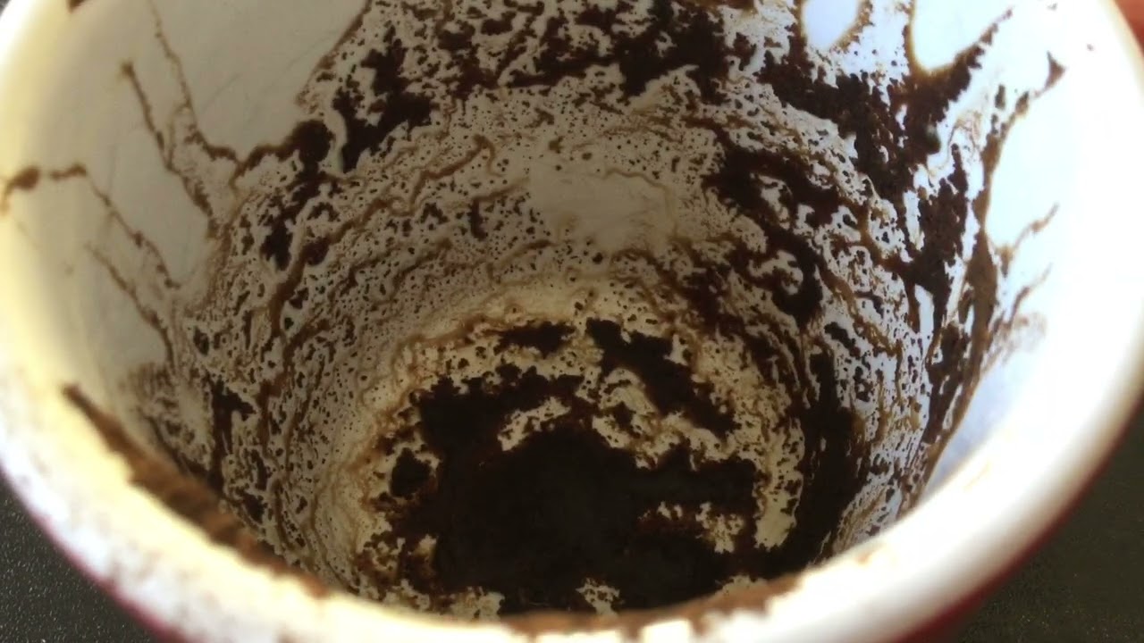 Leo January 26, 2026 Weekly Coffee Cup Reading by Cognitive Universe 