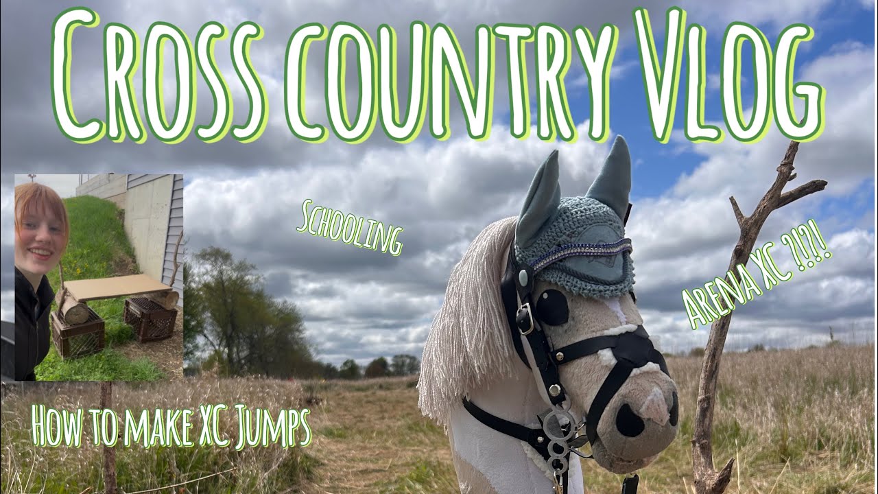 HOBBY HORSE CROSS COUNTRY VLOG !!!