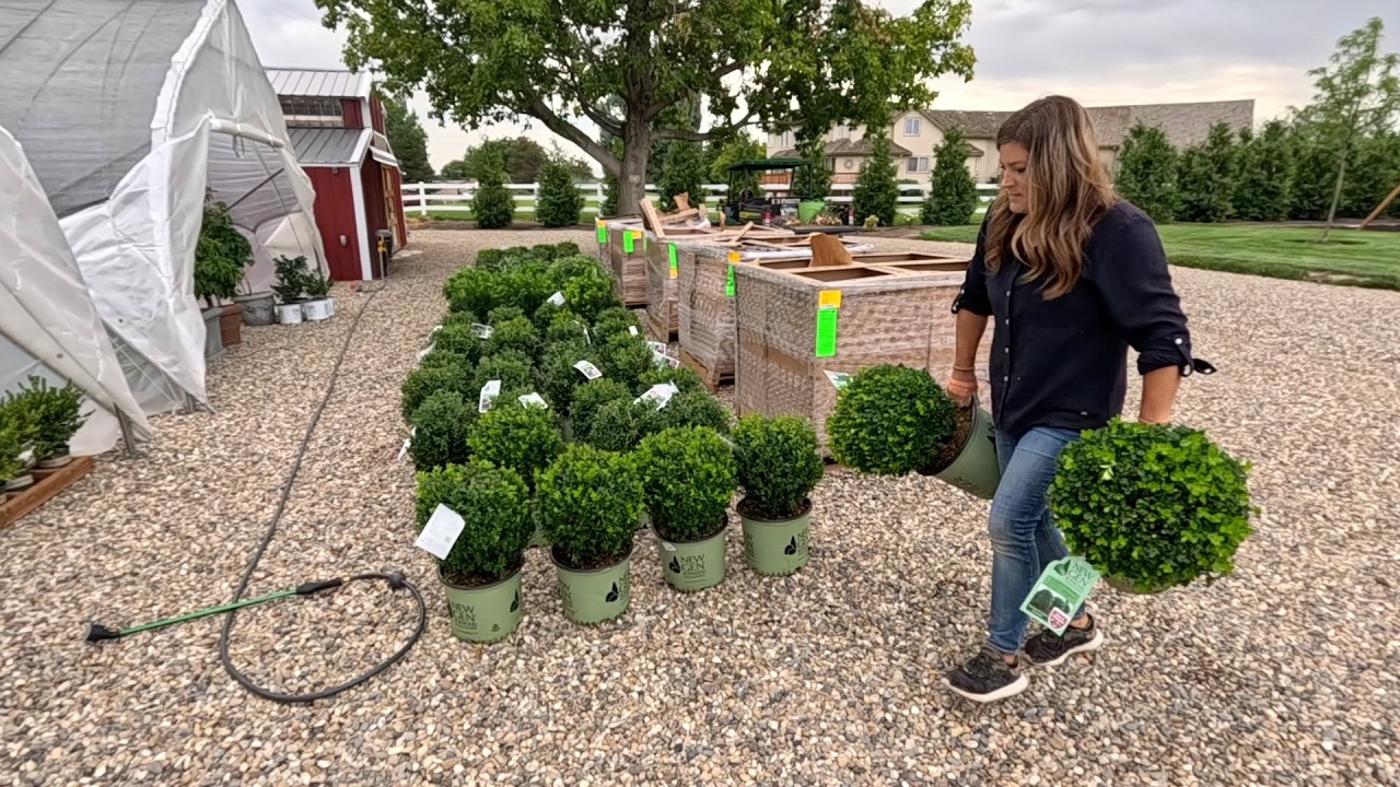 Seeding Spinach, Peas & Sunflowers for Fall + Unboxing a New Load of Shrubs! 🌱🌻🌿 // Garden Answer