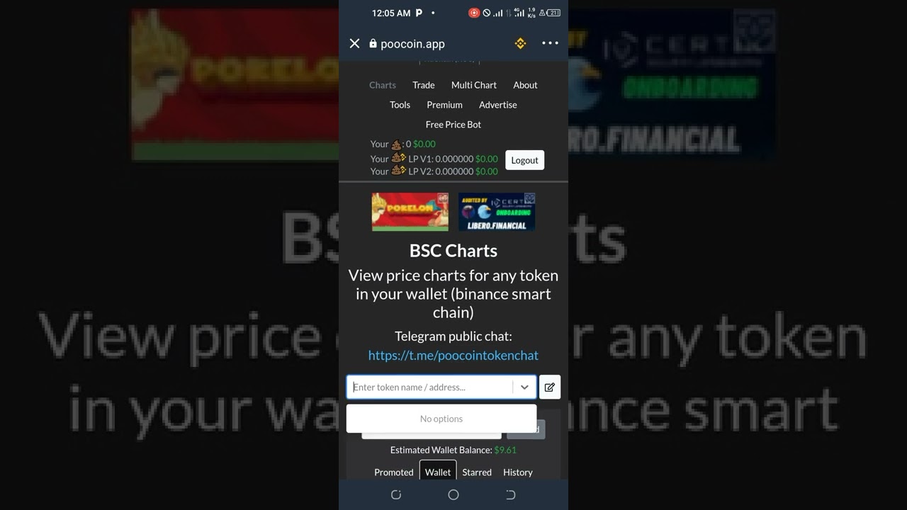 How to Use Poocoin.app to swap for tokens.
