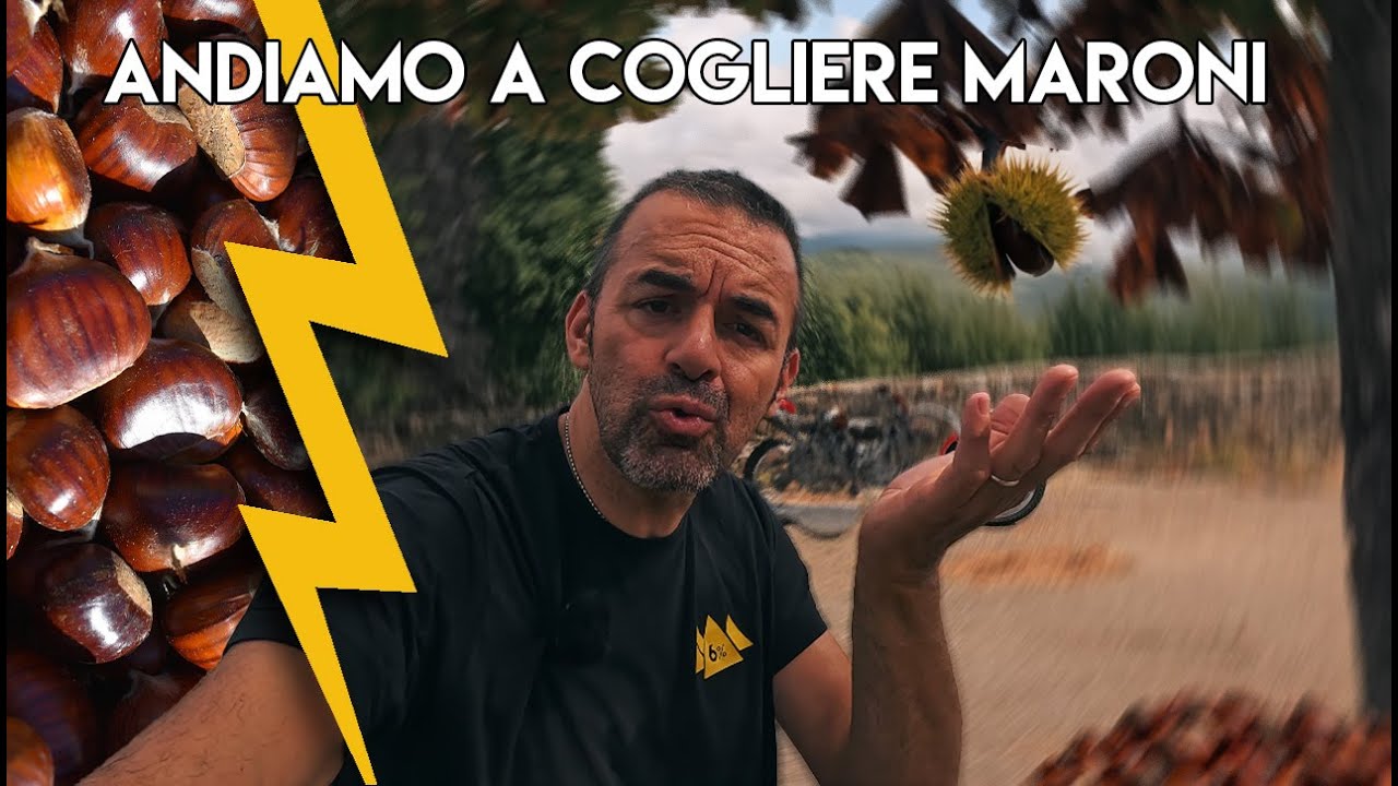 La miglior moto per cogliere le castagne 🌰🌰 Beta Alp 4.0