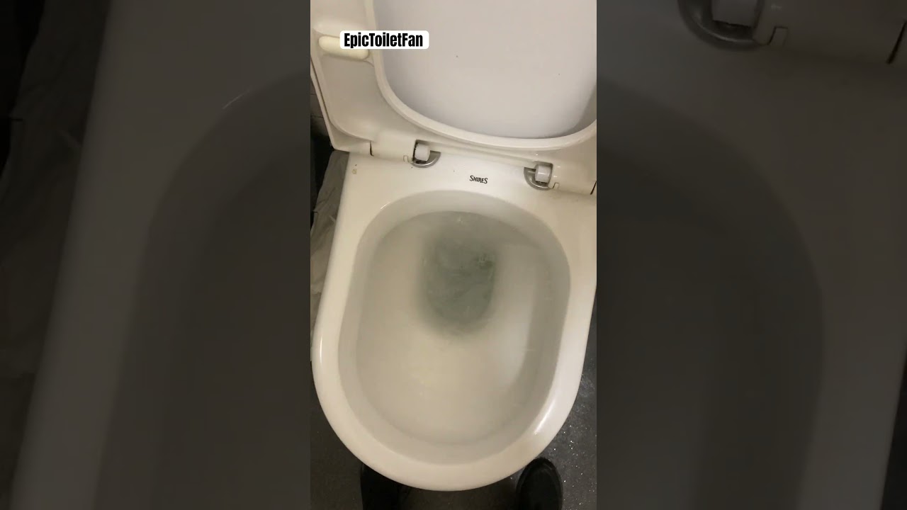 Shires Toilet and a Unbranded Sink