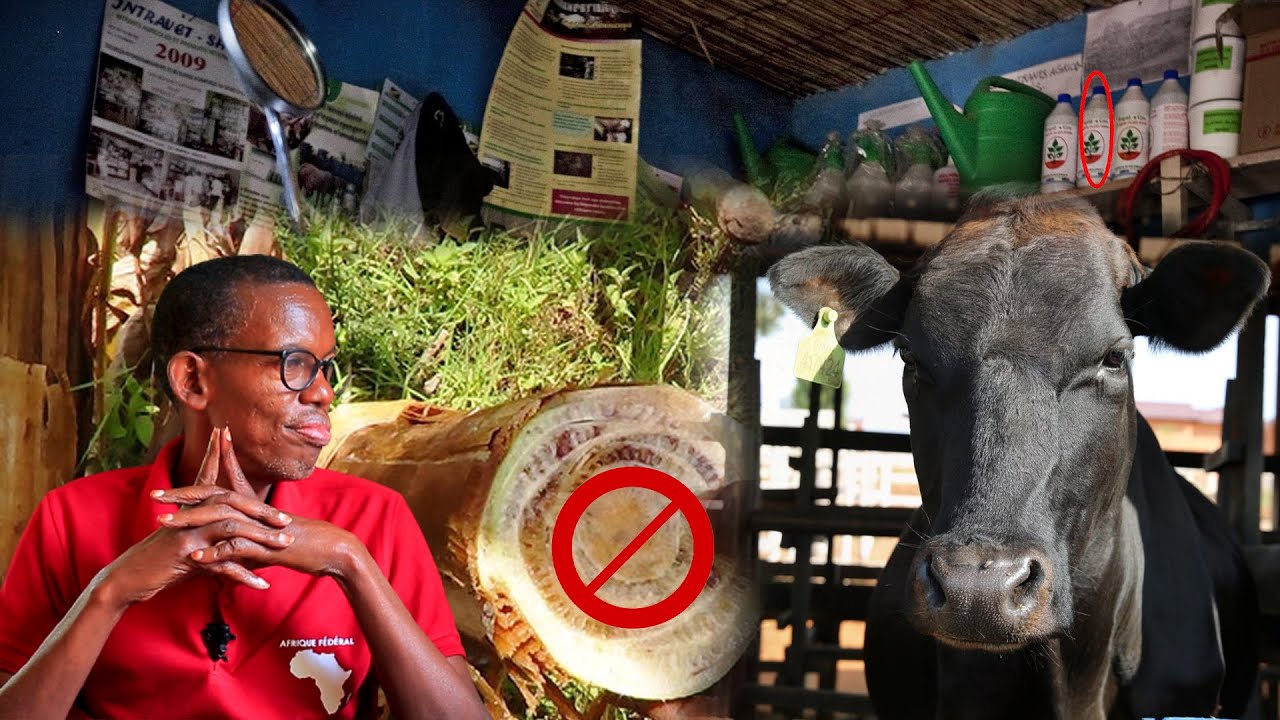 ABOROZI MWITONDERE KUGABURIRA INKA IMITUMBA Y'INSINA | Dr RUSA KU ISHORAMARI RYO MU BWOROZI