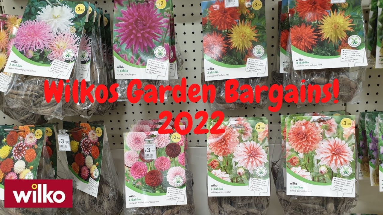 Wilko garden bargains! 2022