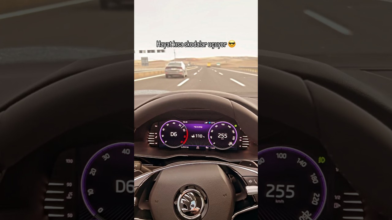 Skoda superb vs Skoda Octavia top speed fastdriver snap