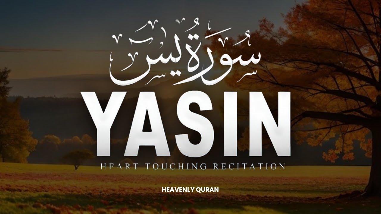 Surah Yaseen (سورة يس) | Calming Quran Recitation for Inner Peace & Sleep | Alaa Aqel #surahyaseen 