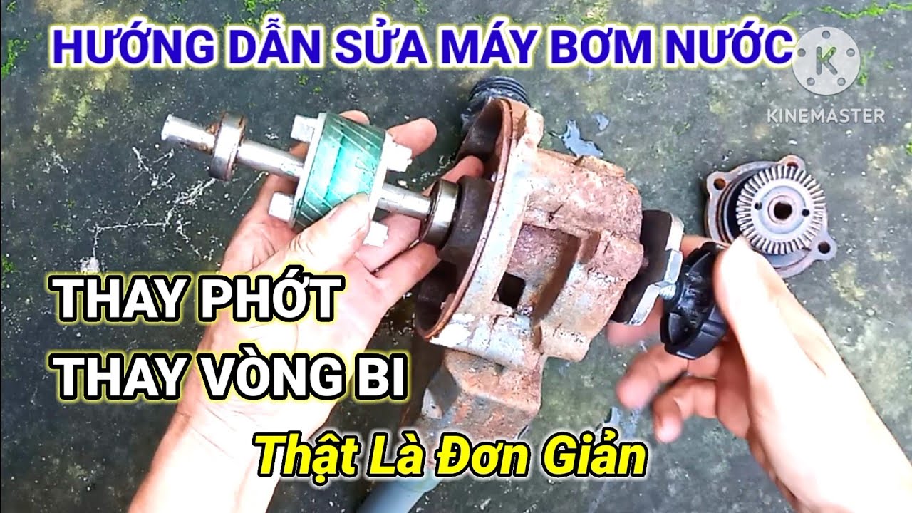 Hướng dẫn sửa máy bơm nước thay phớt, thay vòng bi thật đơn giản