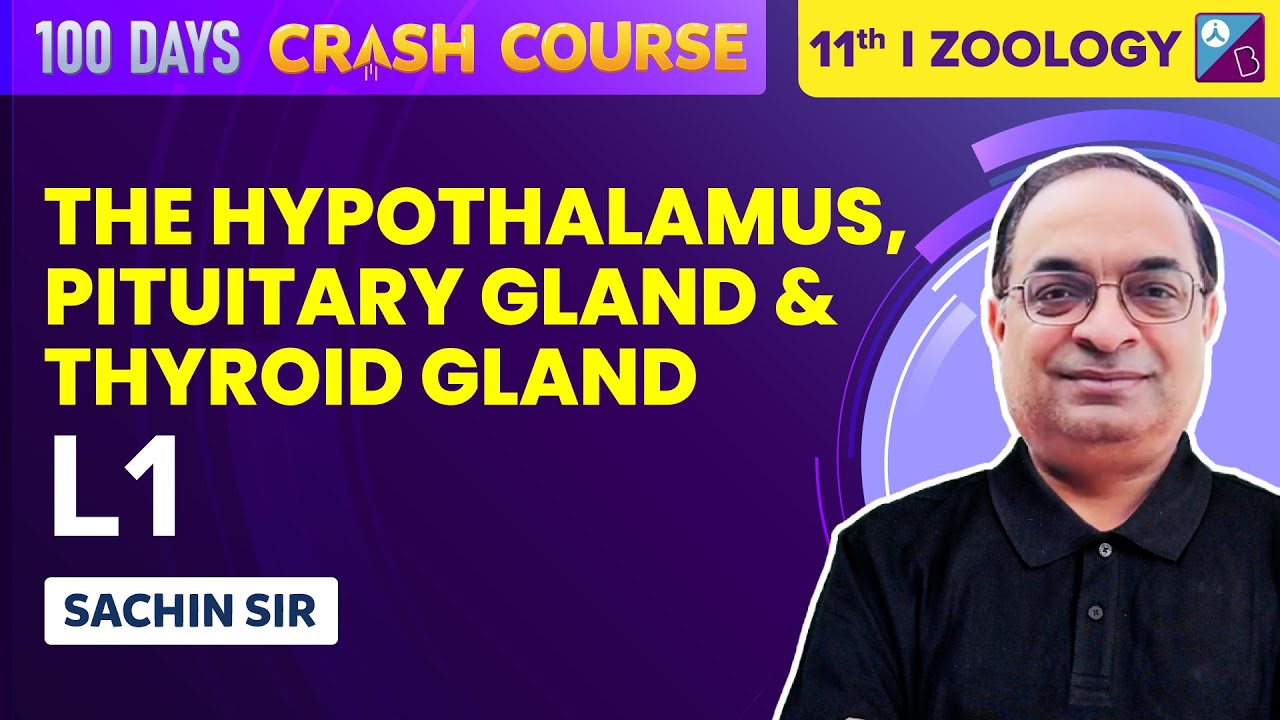 Chemical Coordination & Integration- Class 11 Biology| 100 Days Crash Course| NEET 2023 | Sachin Sir