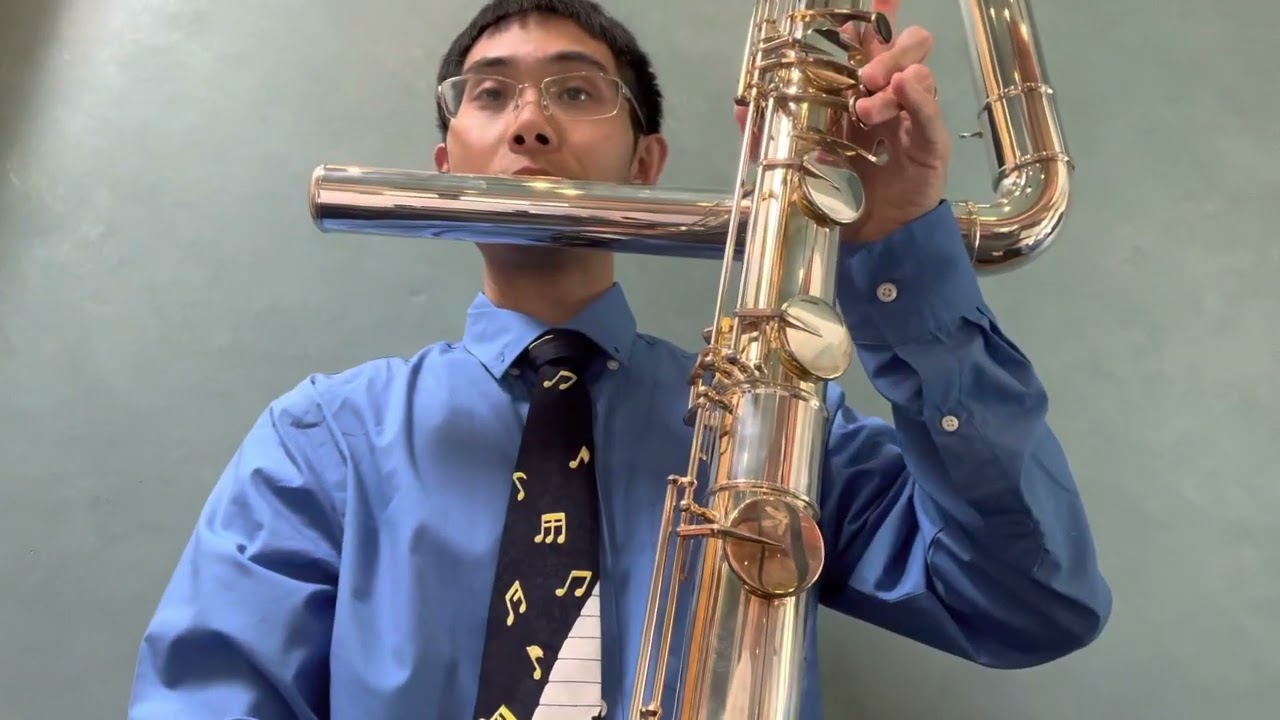 Borealis by Alexandra Molnar-Suhajda | Laguna Flute Contra Cam