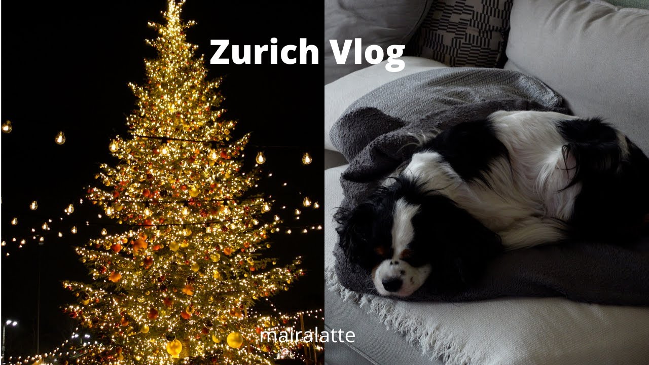 Zurich vlog | Morning Coffee | Forest stroll | Christmas Market