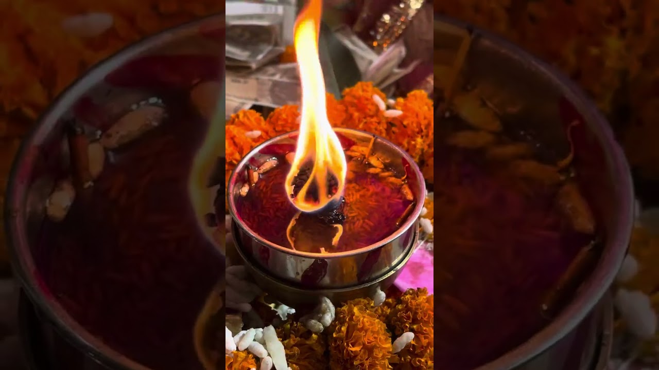 Jeevan kumar// Padh Satguru Di Bani //🌹#maabawewali #maadurga #maavaishnodevi #viral 