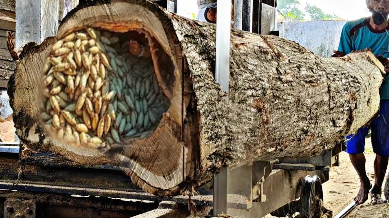 Amazing, long, oleh, beautifull textured wood ini the Sawmill.. 