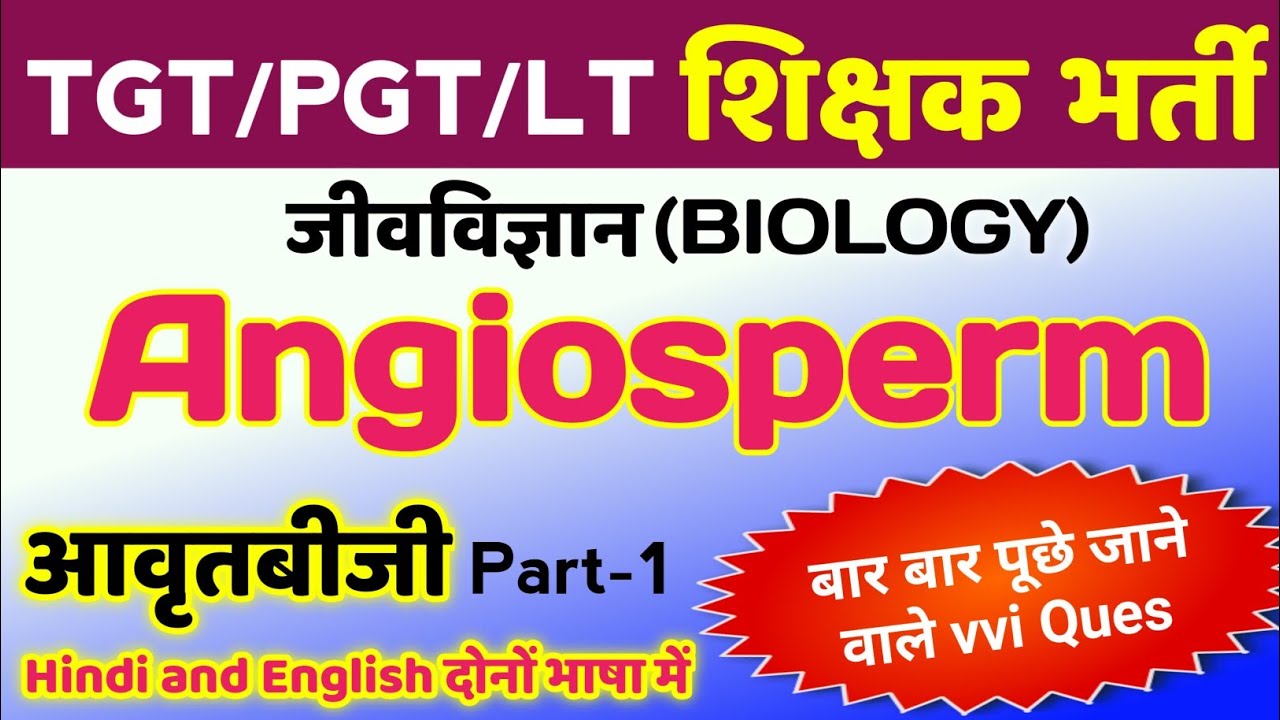 Angiosperms related TGT PGT MCQ | tgt pgt biology classes | tgt pgt biology practice set | tgt pgt