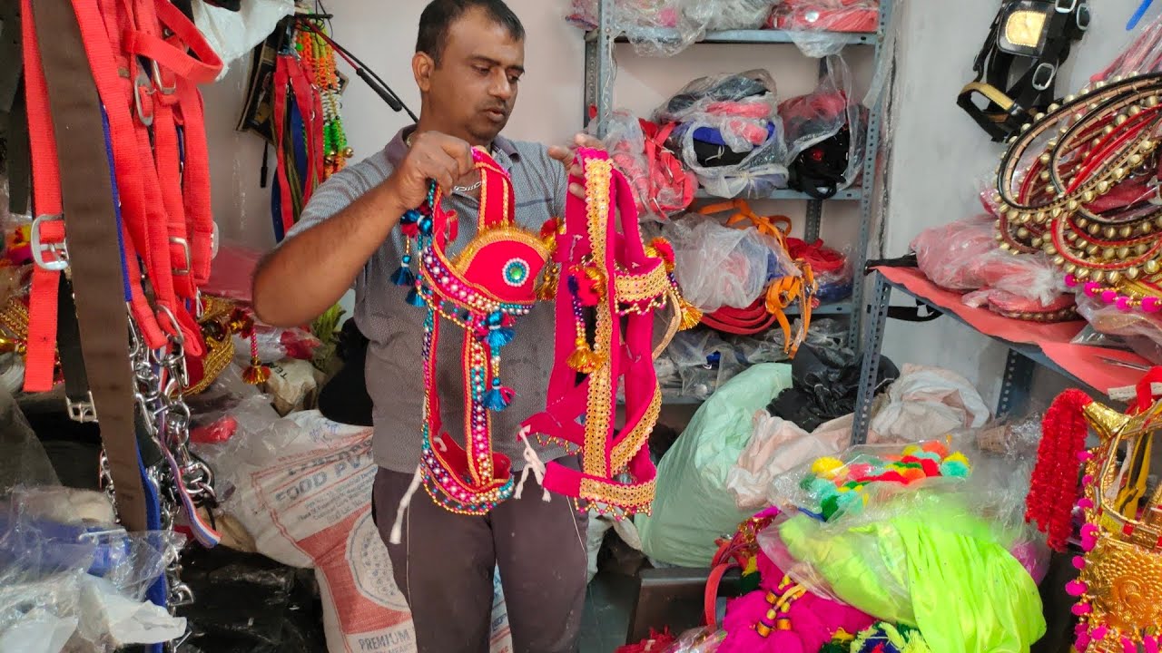 Royal lagam horse accessories shop in Hyderabad | ghode ka zewar shadi baraat ke ghode
