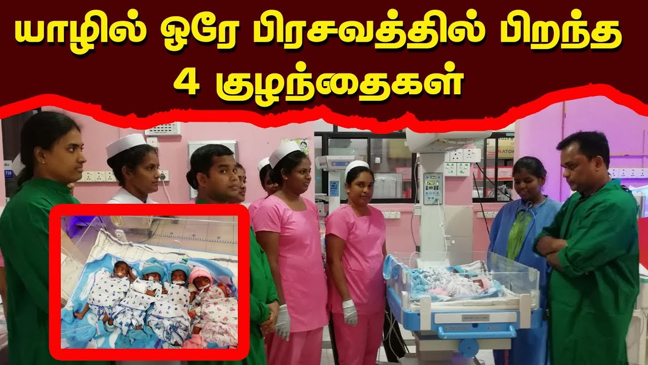 யாழில் ஓரே பிரசவத்தில் பிறந்த 4 குழந்தைகள் | Today Jaffna News