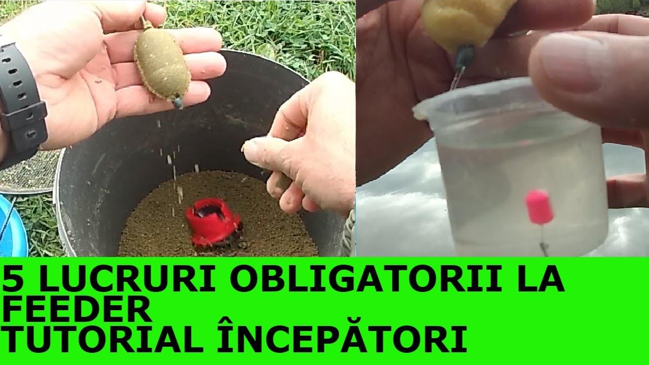 TUTORIAL FEEDER#SONDAREA#PREPARAREA NADEI#MONTURA#TESTUL MONTURI#ARUNCAREA CU FEEDERUL