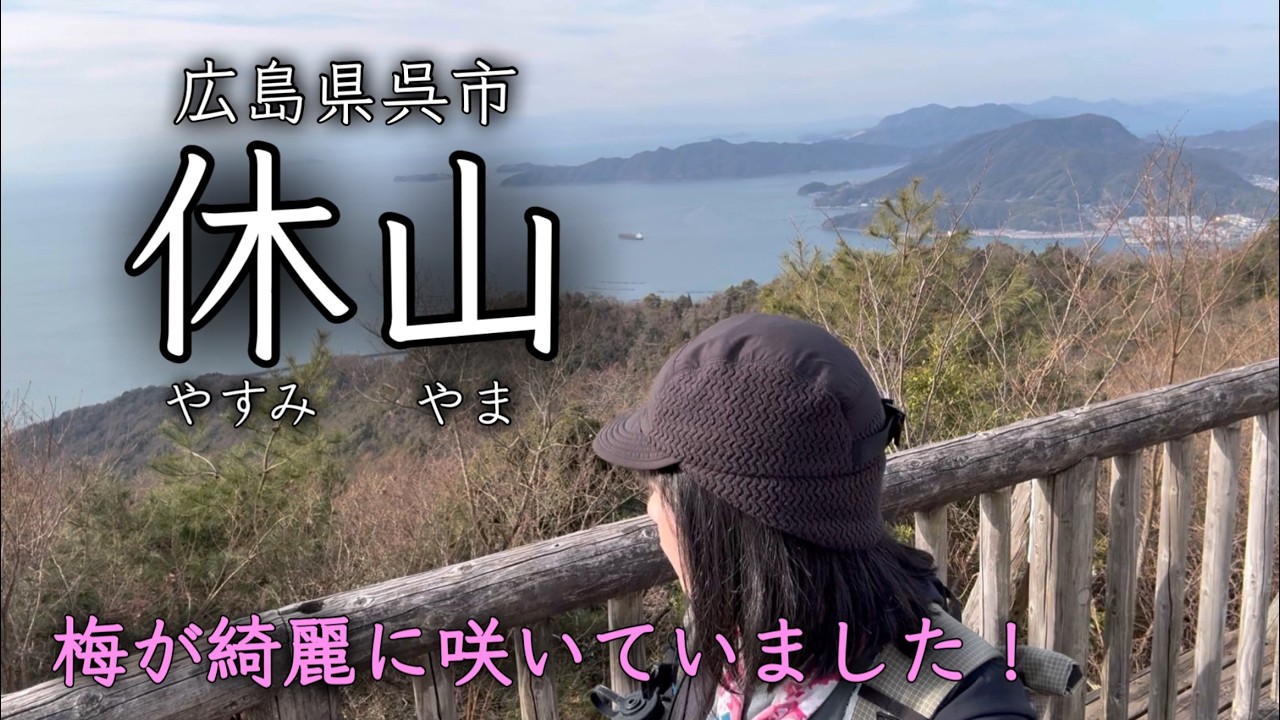 【広島登山 / 休山】梅の花とメジロが歌う立春登山。水仙も綺麗でした。遠く石鎚山も見えるうららかな山行となりました。2026.2.4
