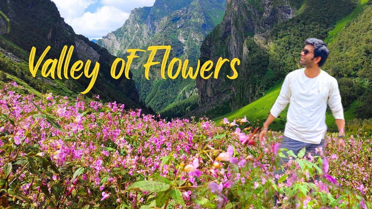 Part-2 II Valley of Flowers Trek II India's MOST BEAUTIFUL TREK 💜