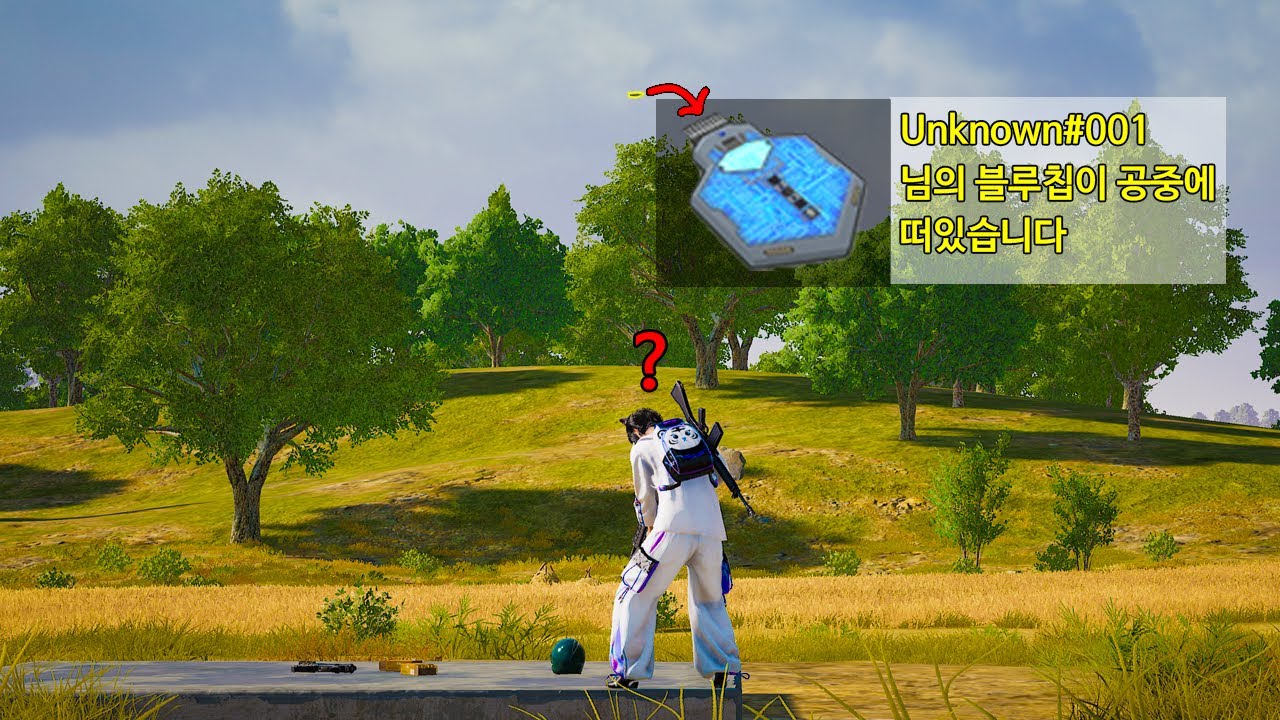 개발자도 상상못한 블루칩 하늘에 숨겨놓고 구경하기 ㅋㅋㅋ