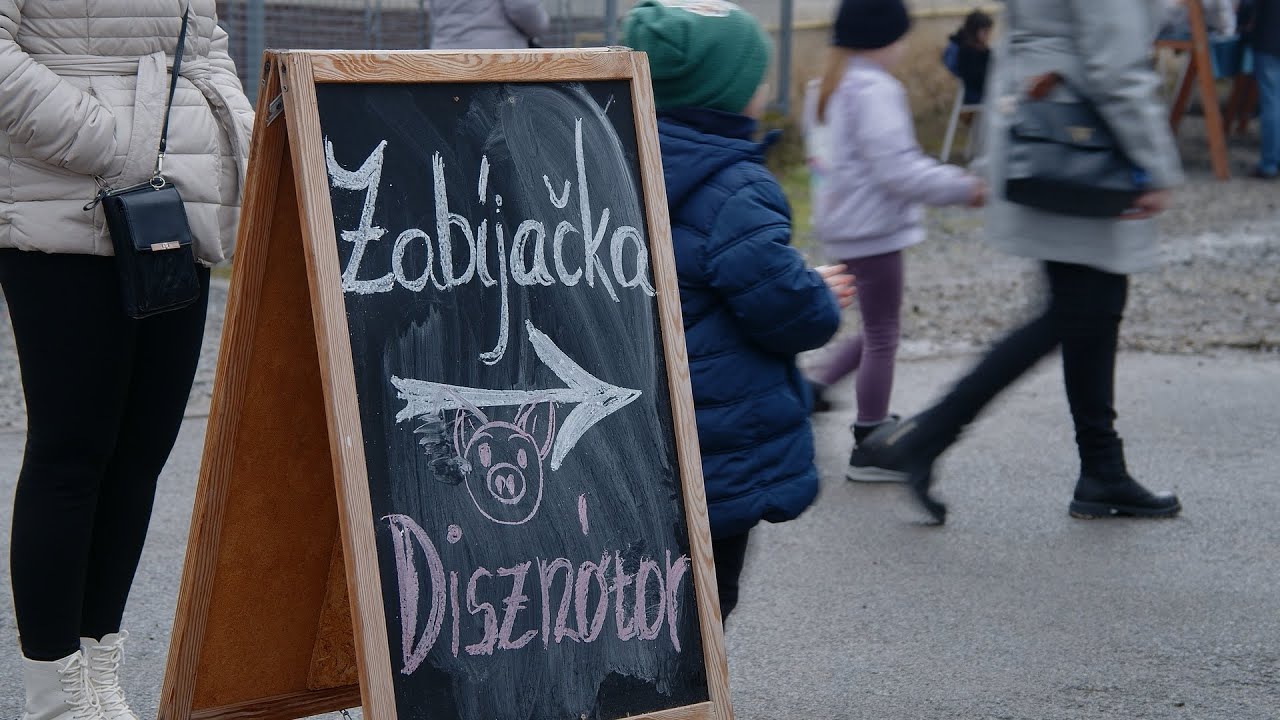 Hagyományos disznótor volt az egykori Rákóczi-birtokon Borsiban