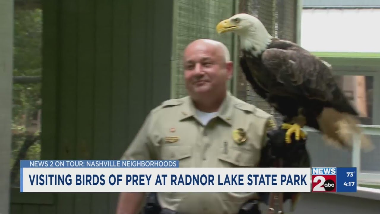Radnor Lake celebrates 10 years of caring for injured birds of prey