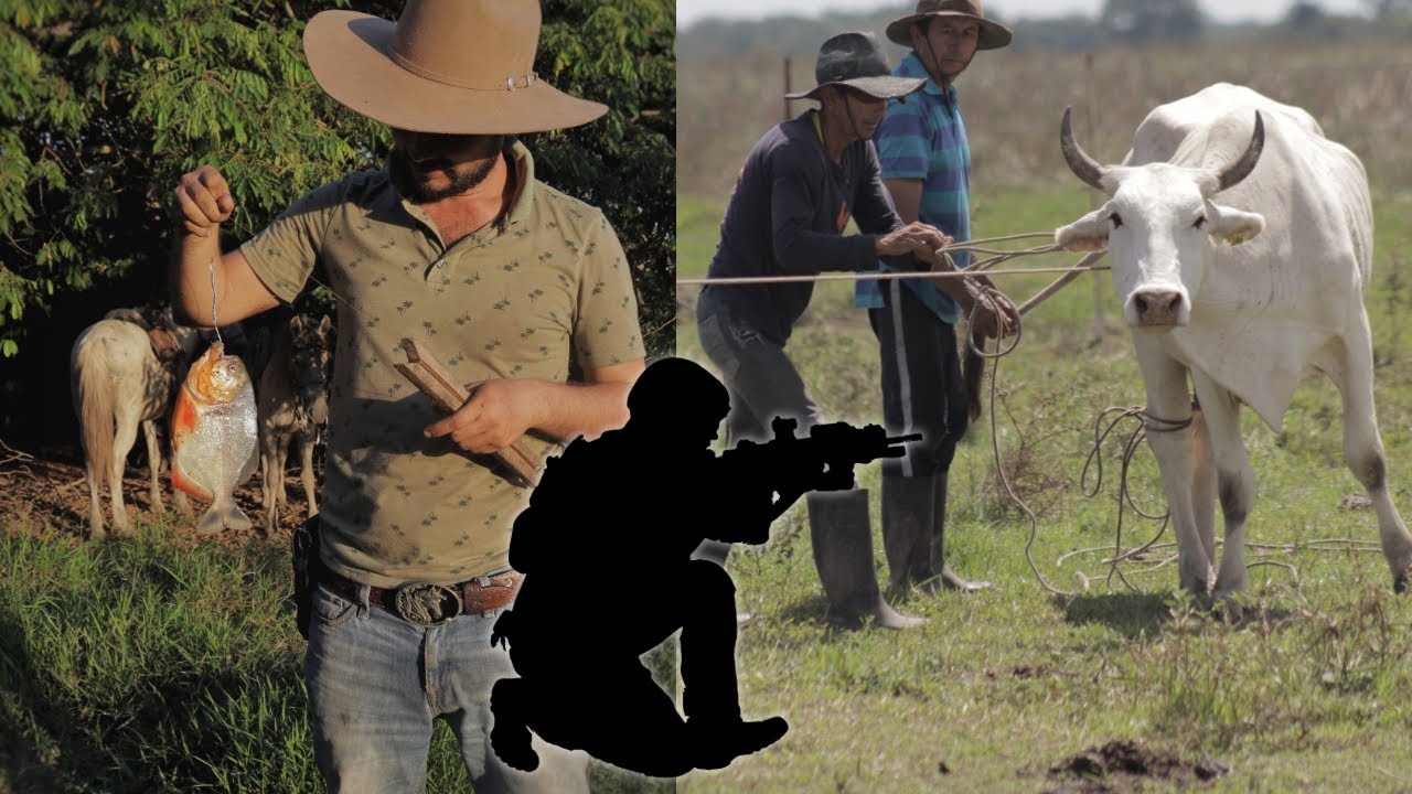 🐂llaneros colombianos🐎 el pueblo que le dió la espalda al conflicto armado ✨ cultura e historia🌍