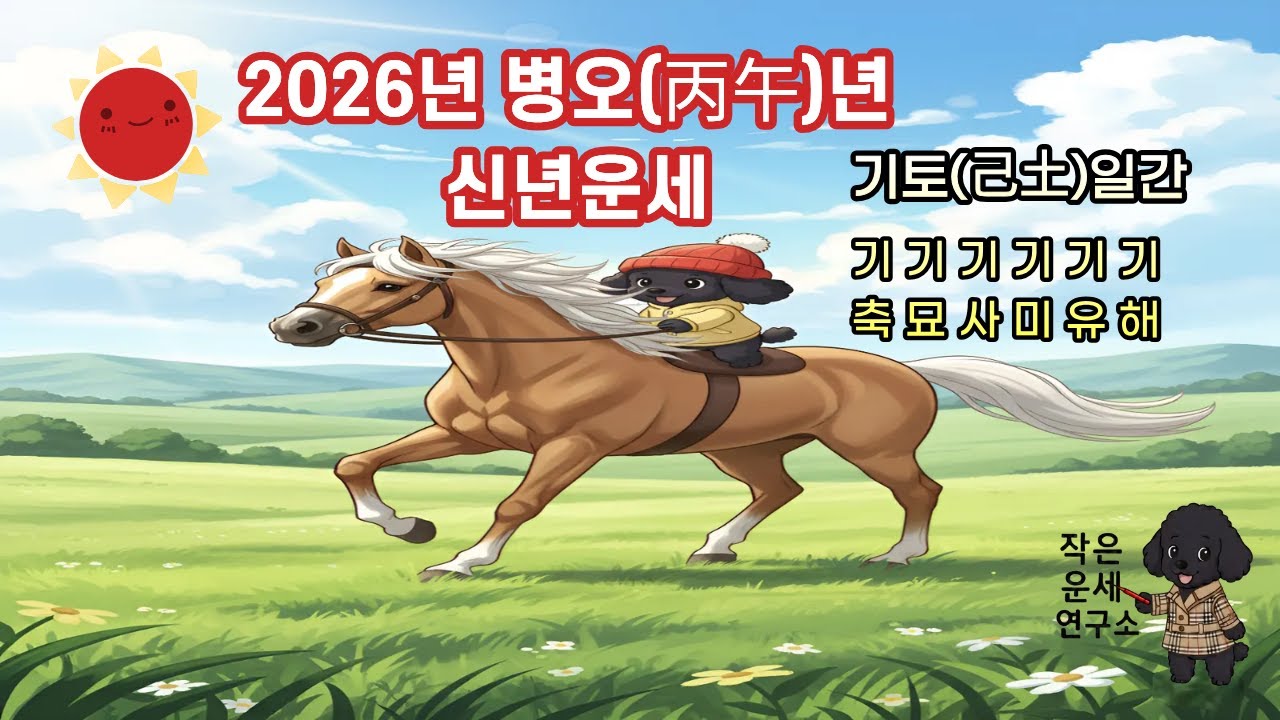 2026년 기토일간 운세 총정리 ✨ 기축·기묘·기사·기미·기유·기해 (현실 개운법 포함)