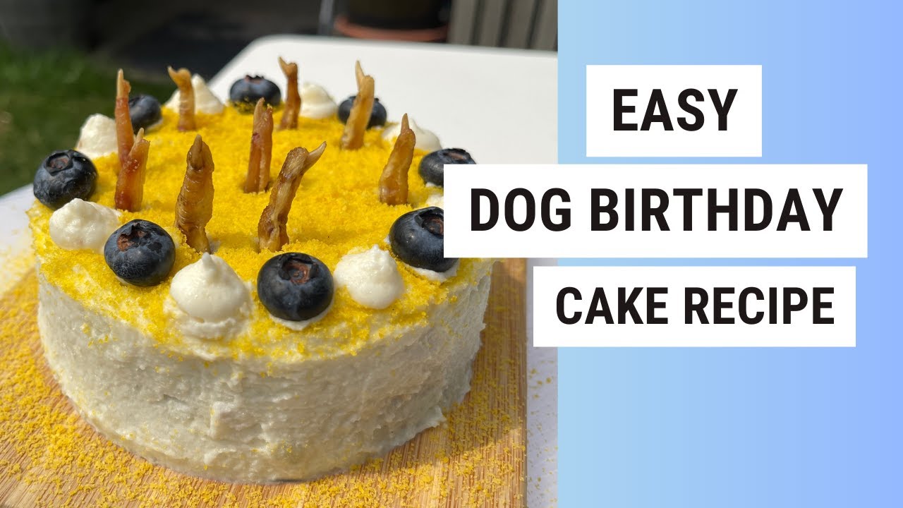 Create the Perfect Grain Free Dog Birthday Cake