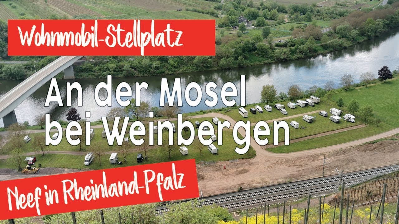 Wohnmobil Stellplatz an der Mosel und Weinberge | Neef in Rheinland-Pfalz | Camping mit Hund