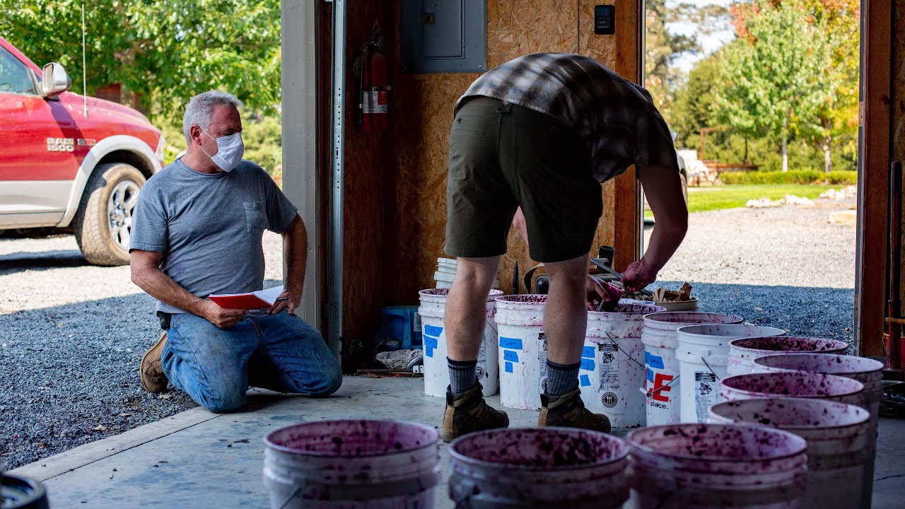 Teldeschi Ranch & the 2020 Fires | 2020 Wine Harvest Diary