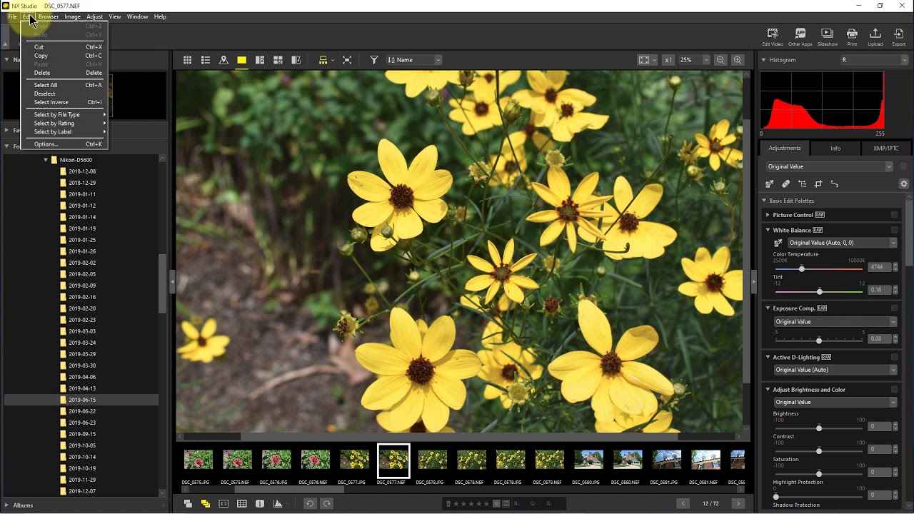 Nikon NX Studio — как отменить или сбросить изменения в файлах RAW в NX Studio