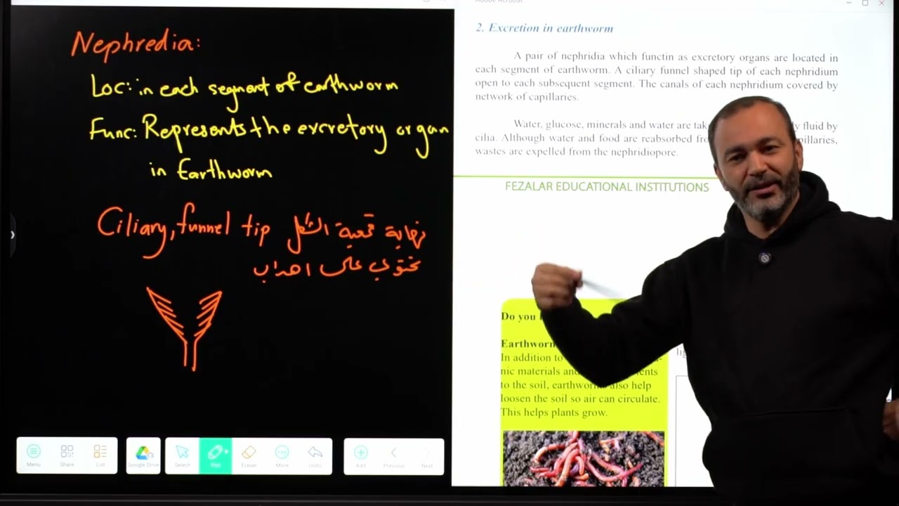 Lesson 15: Excretion in invertebrates
