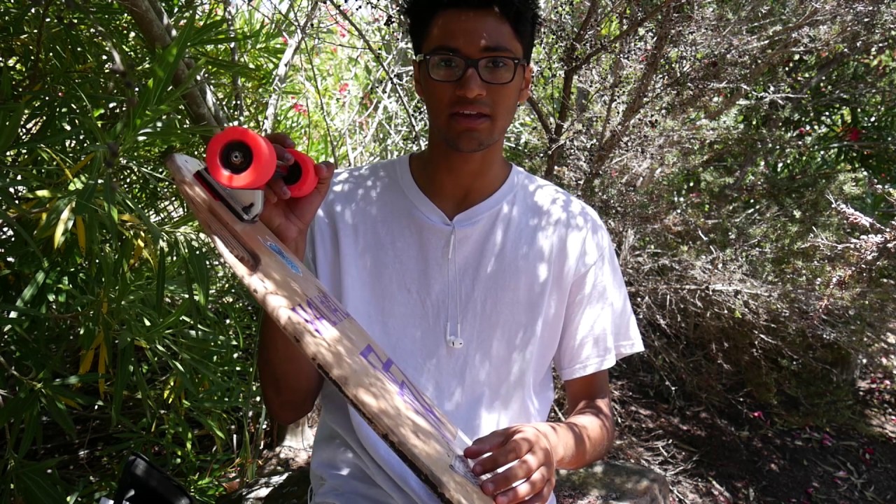 Powell Peralta Snakes Review