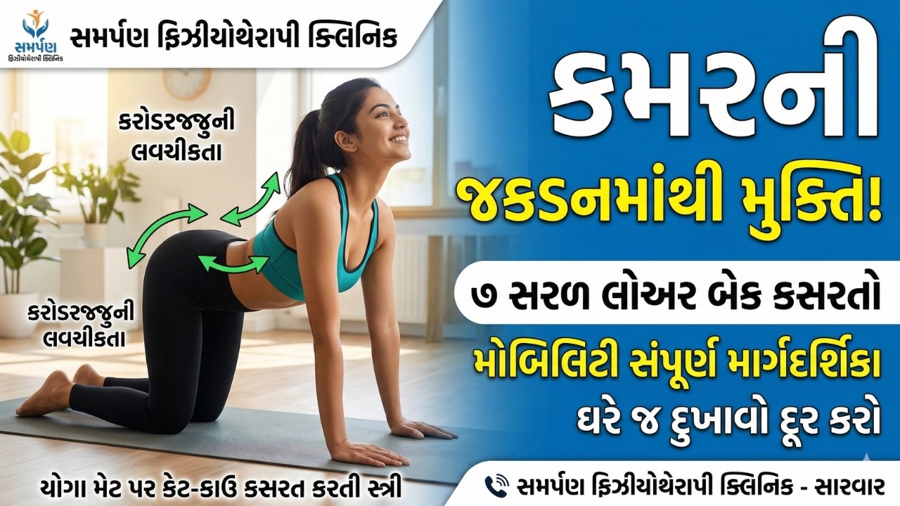 કરોડરજ્જુને લવચીક અને મજબૂત બનાવો: લોઅર બેક કસરતોની સંપૂર્ણ માર્ગદર્શિકા