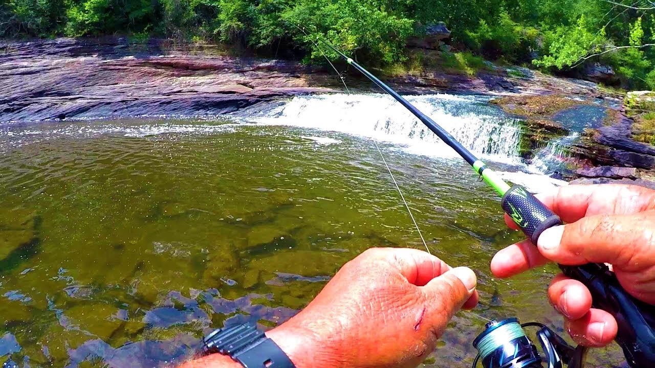 Fishing and Exploring A Creek Deep In The Woods