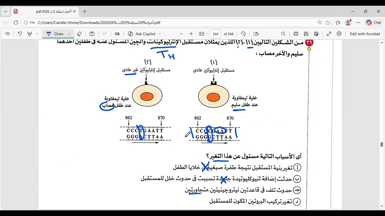 حل واجب الطفرات