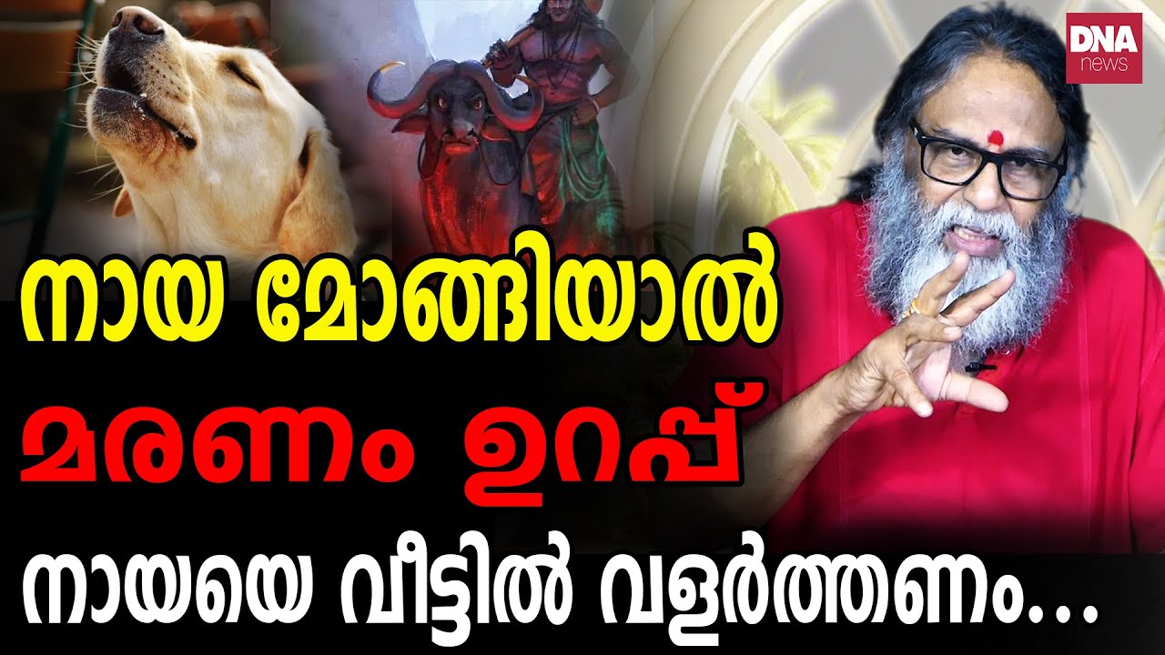 ഒരുപാട് ദുരന്തങ്ങളിൽ നിന്ന് മോചിപ്പിക്കാൻ അതിന് കഴിയും... I SunilParameswaran I Kanthalloorswami