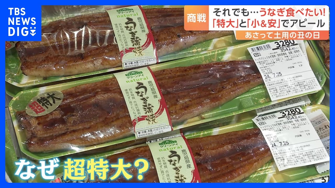 「土用の丑の日」物価高でも&hellip;あの手この手の&ldquo;うなぎ商戦&rdquo;　大手スーパーの目玉は「超特大」｜TBS&nbsp;NEWS&nbsp;DIG