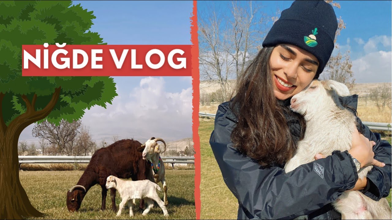 NİĞDE VLOG - KEÇİLERE FISILDAYAN KADIN 🌹