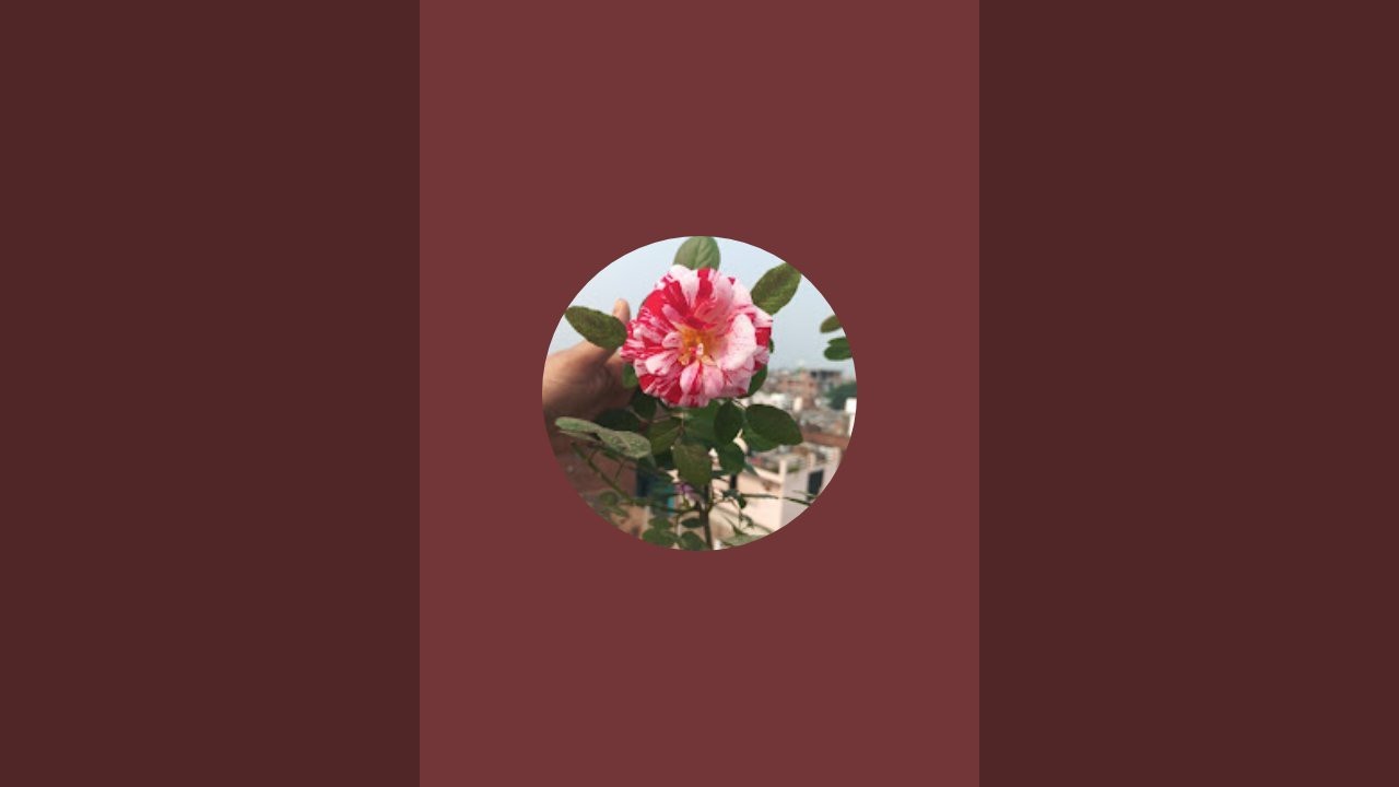 #garden
