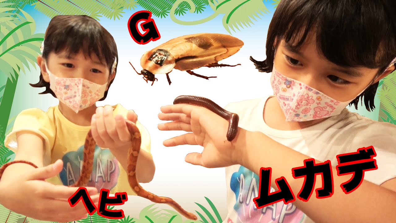 Gやムカデとふれあい＞＜爬虫類大好きまーちゃんもそうじゃないおーちゃんも楽しめるアニマルカフェに行ってきたよ♪himawari-CH
