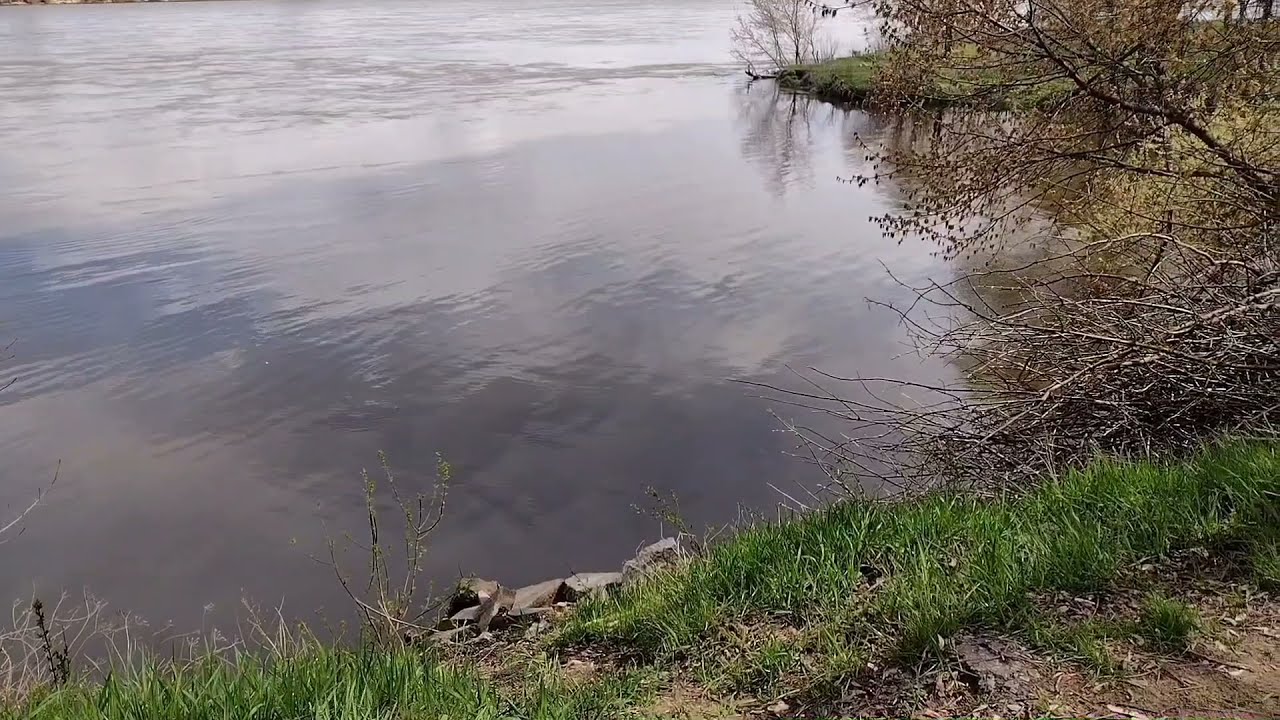 Kozienickie Wędrówki odc. 9 - Radomka