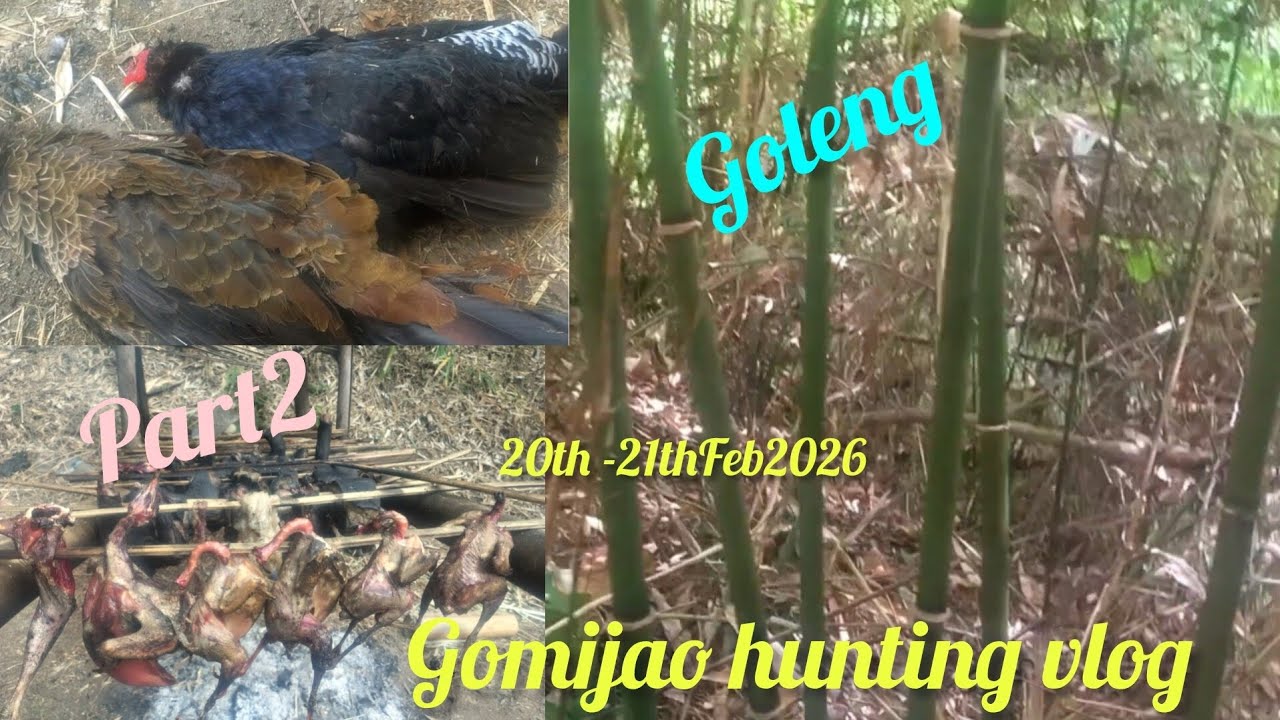 Gomijao kachenna 2||village life in the jungle||Gamnom tah ahi e||part2full😱🫡