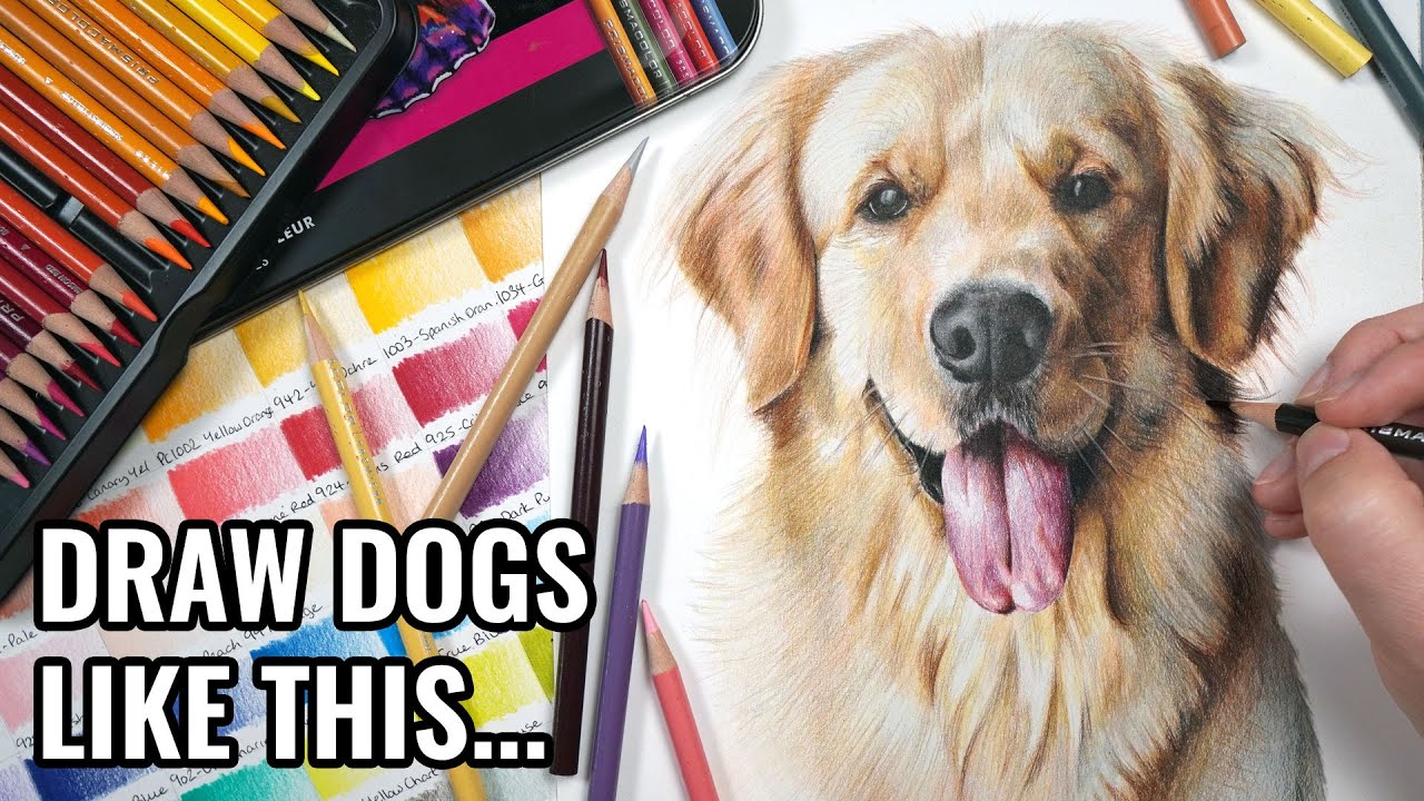 How to Draw a Realistic Dog Portrait | Colored Pencil Tutorial