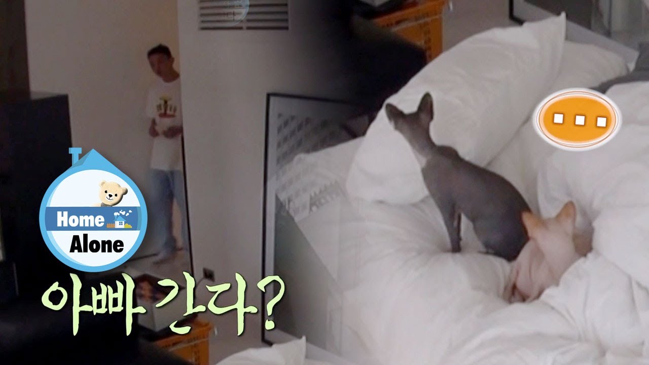 Yoo Ah In&rsquo;s cats translate what he&rsquo;s saying [Home Alone Ep 351]
