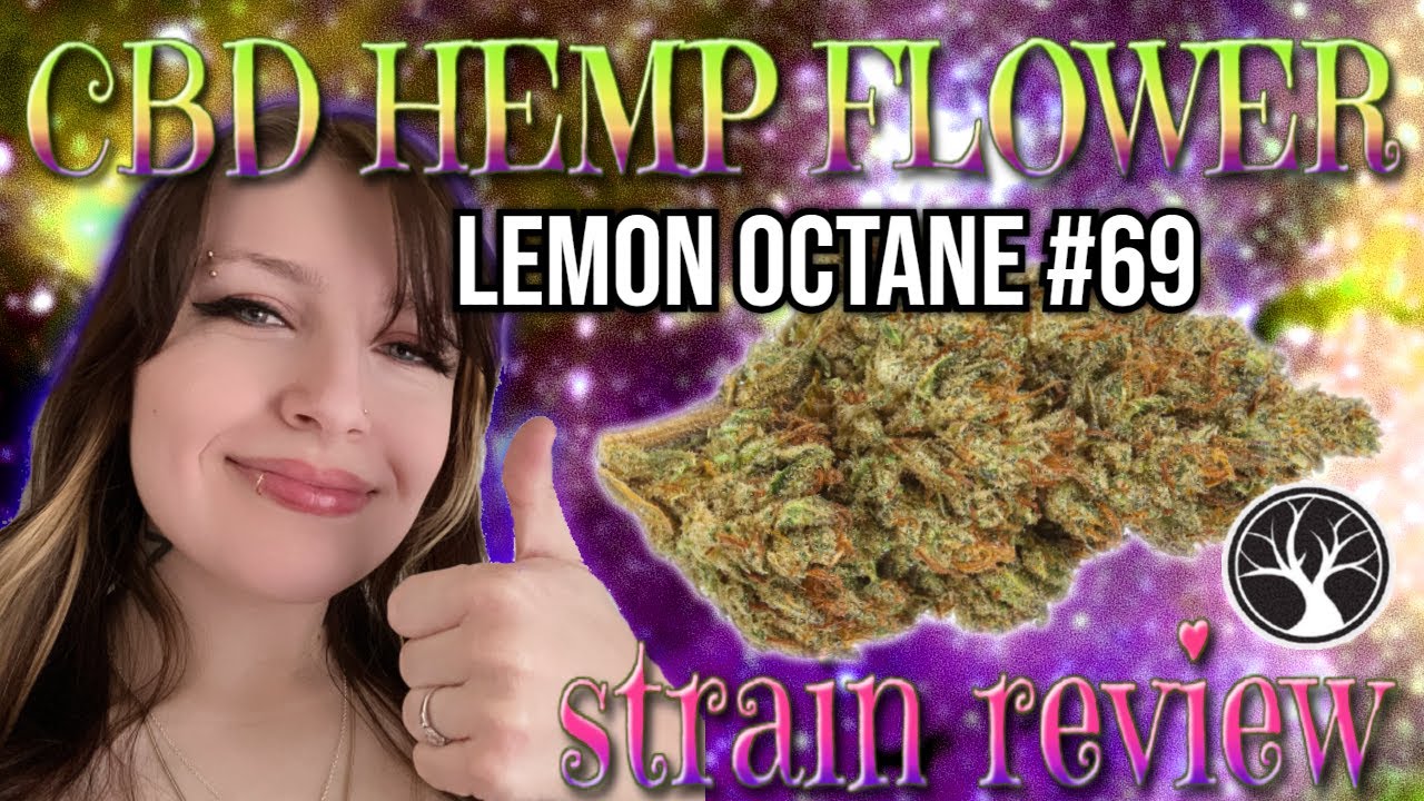 Lemon Octane no. 69 from Lost Oak Farms | CBD Hemp Flower Review