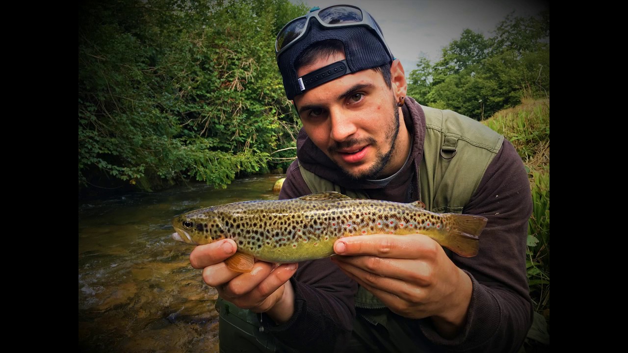 P&ecirc;che truite en NO KILL. Pays-Basque/B&eacute;arn au toc, leurre et vairon mani&eacute;